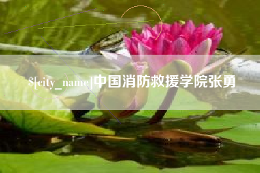 德宏中国消防救援学院张勇
