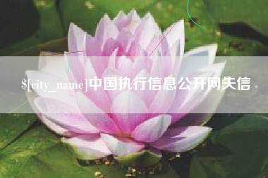 德宏中国执行信息公开网失信