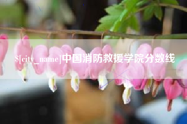德宏中国消防救援学院分数线