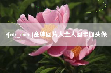 德宏金牌图片大全大图卡通头像