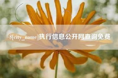 德宏执行信息公开网查询免费
