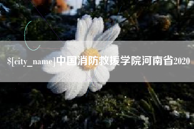 德宏中国消防救援学院河南省2020