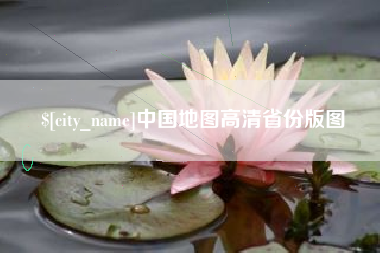 德宏中国地图高清省份版图